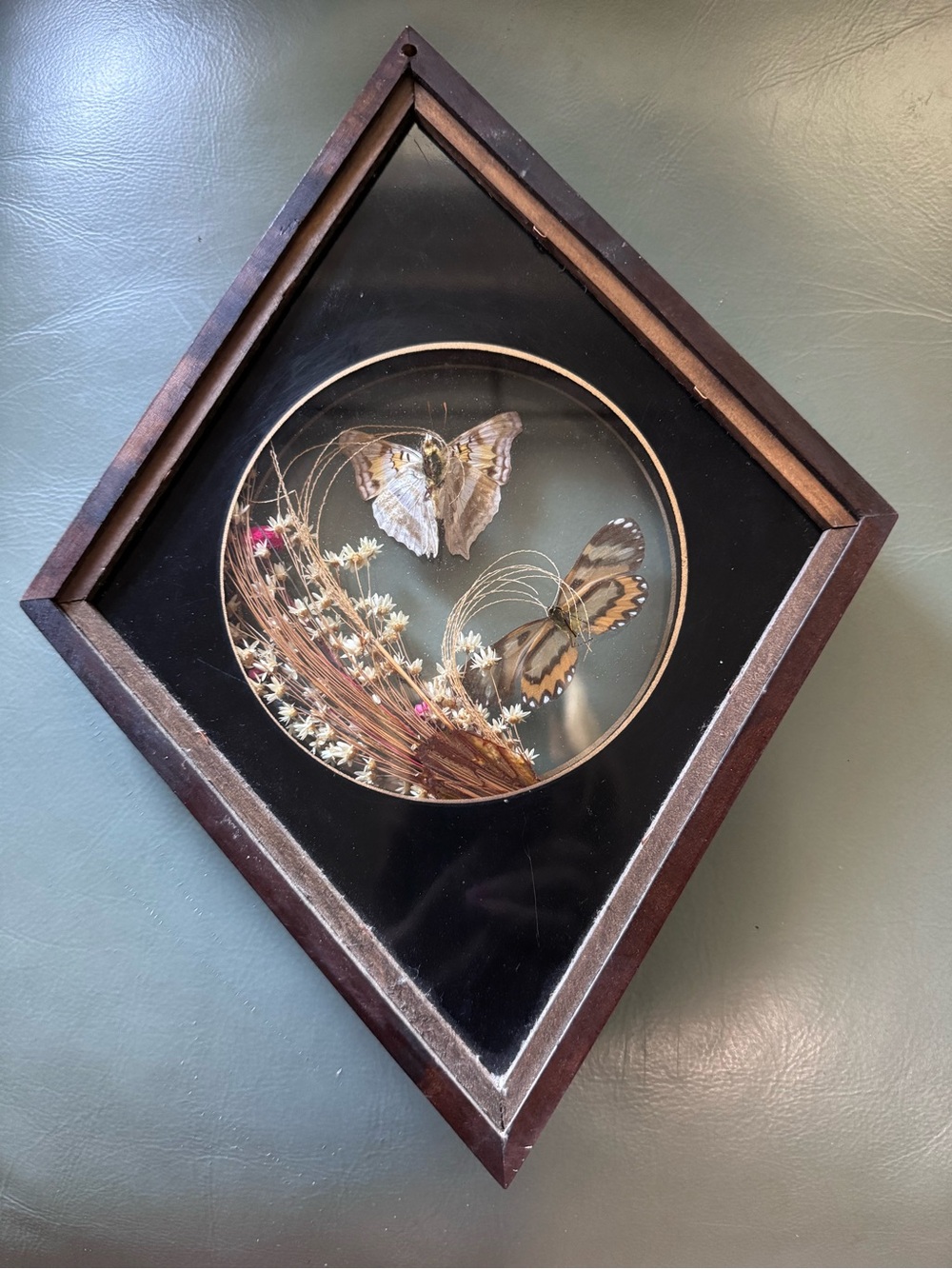 1970’s Framed Butterfly Shadowbox Wall Art - Brown and Black